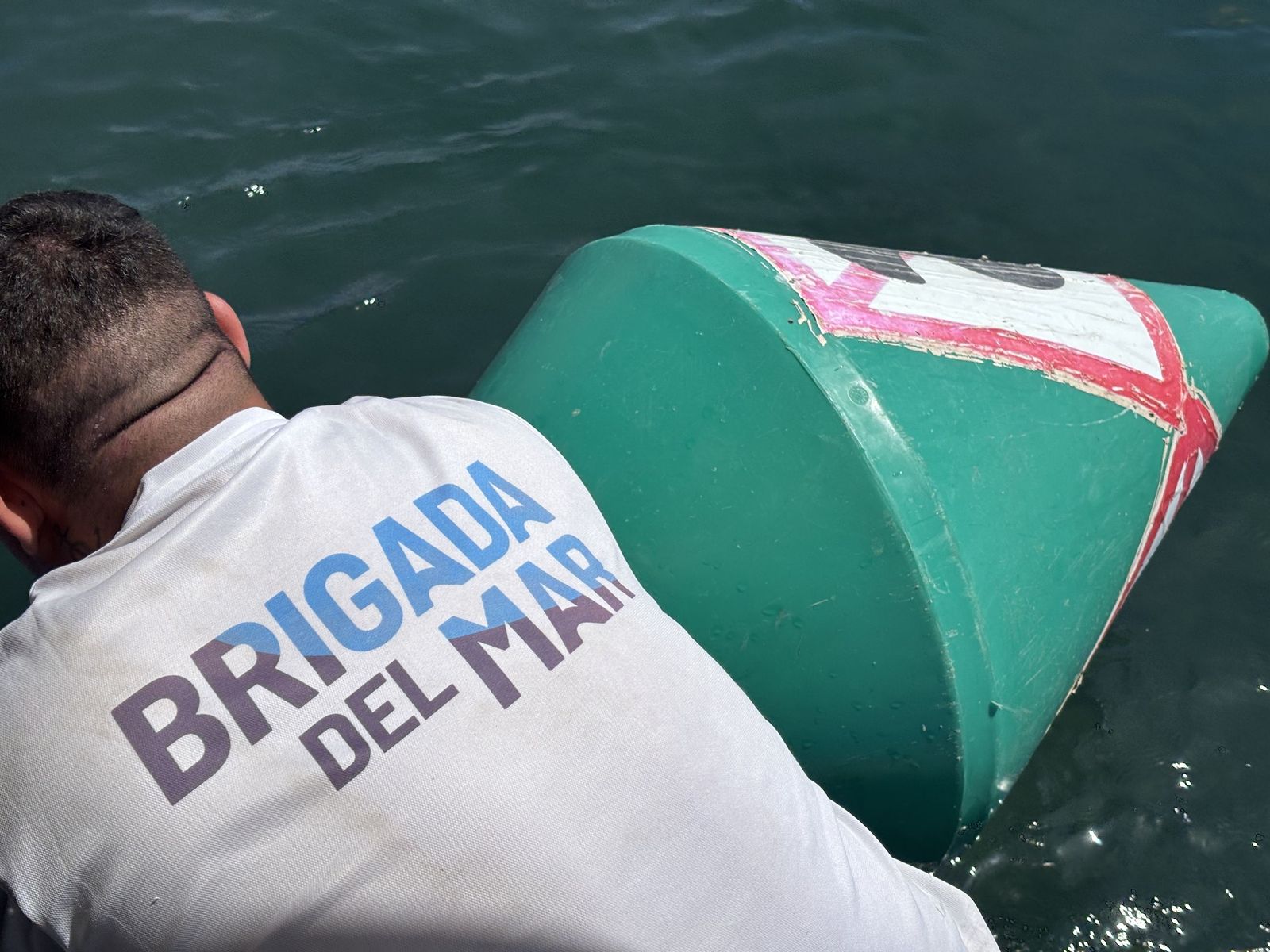 Ceuta blinda sus playas contra las medusas: el trabajo invisible que garantiza un verano seguro en el mar