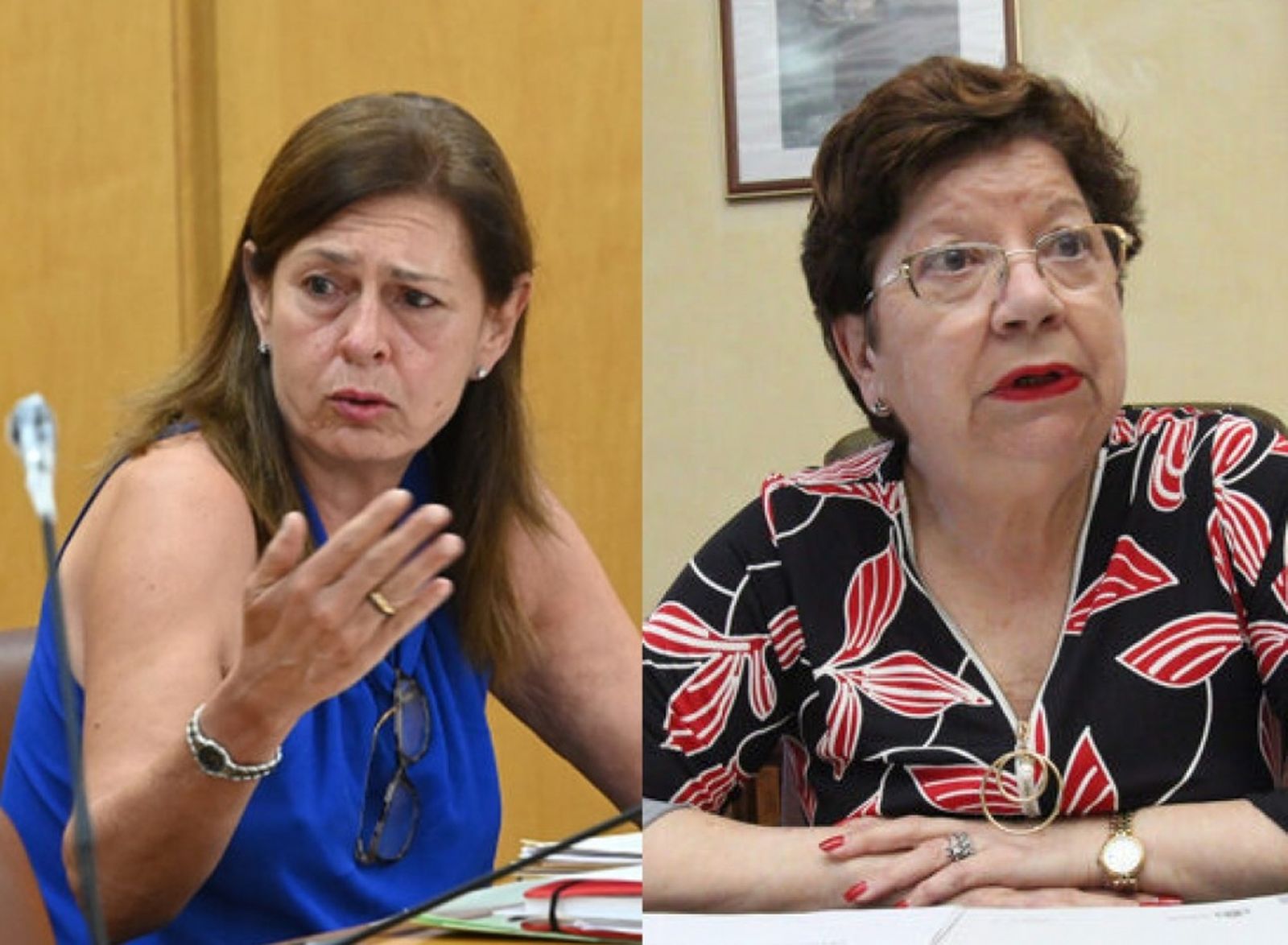 La  ex vicepresidenta de la Ciudad, María Isabel Deu, y la ex delegada del Gobierno, Salvadora Mateos.