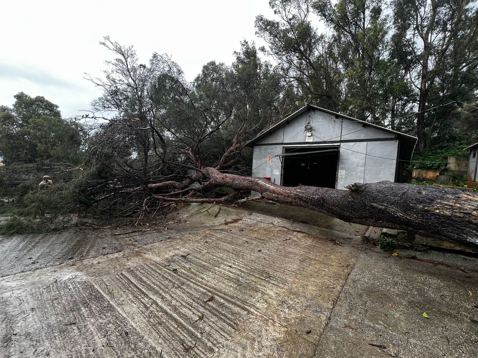 Vea las imágenes más impactantes del temporal