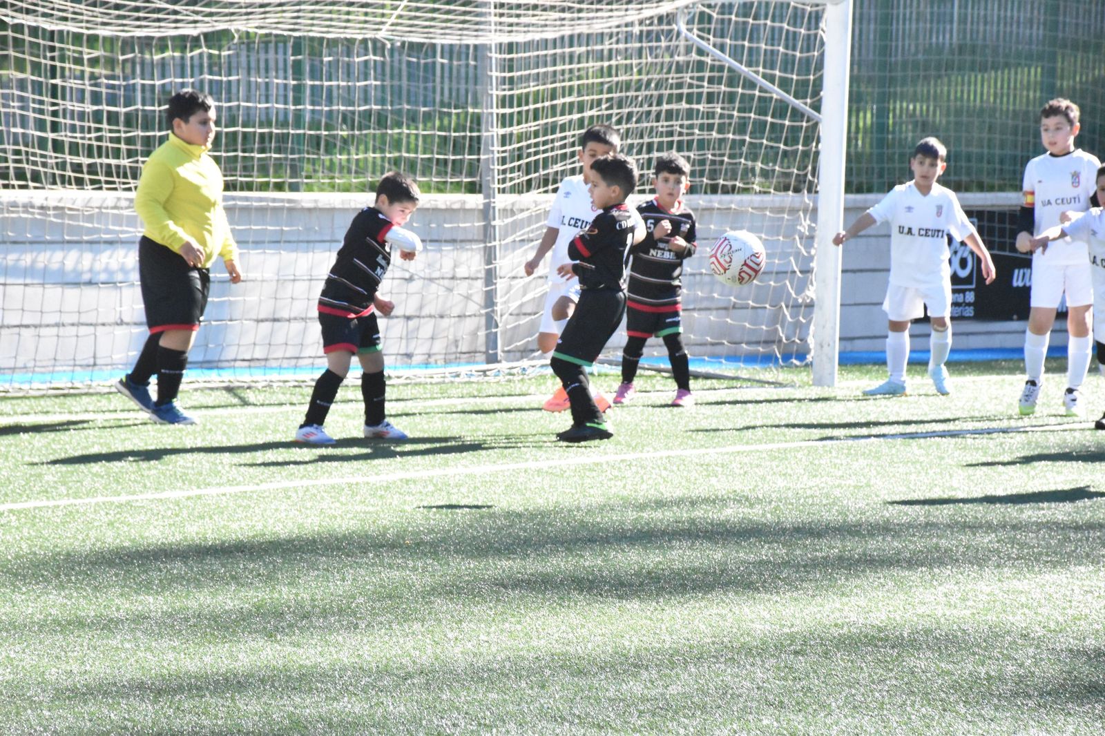 Cinco equipos lideran