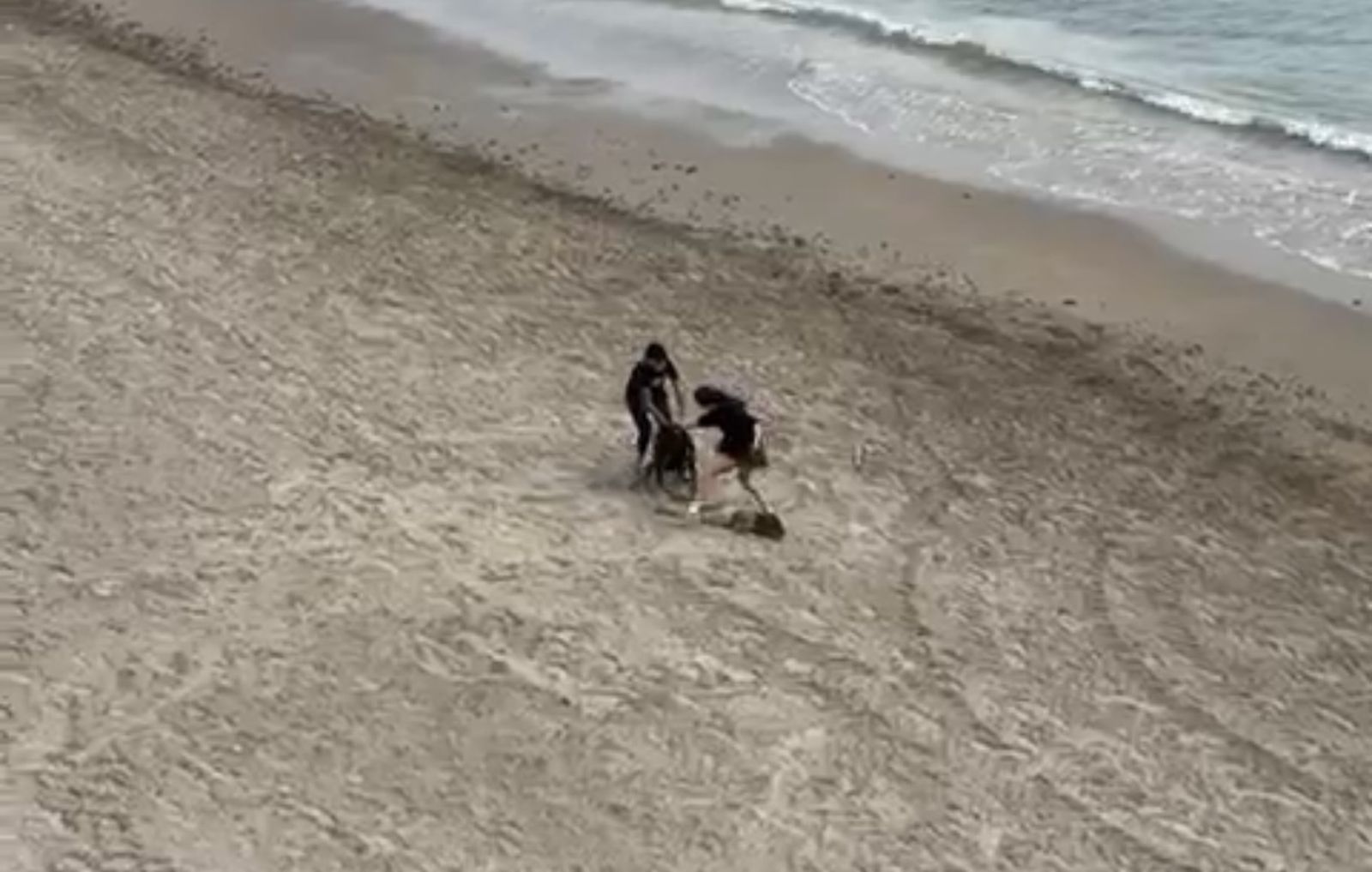 Momento del ataque de un perro a una niña de seis años en la playa de la Ribera