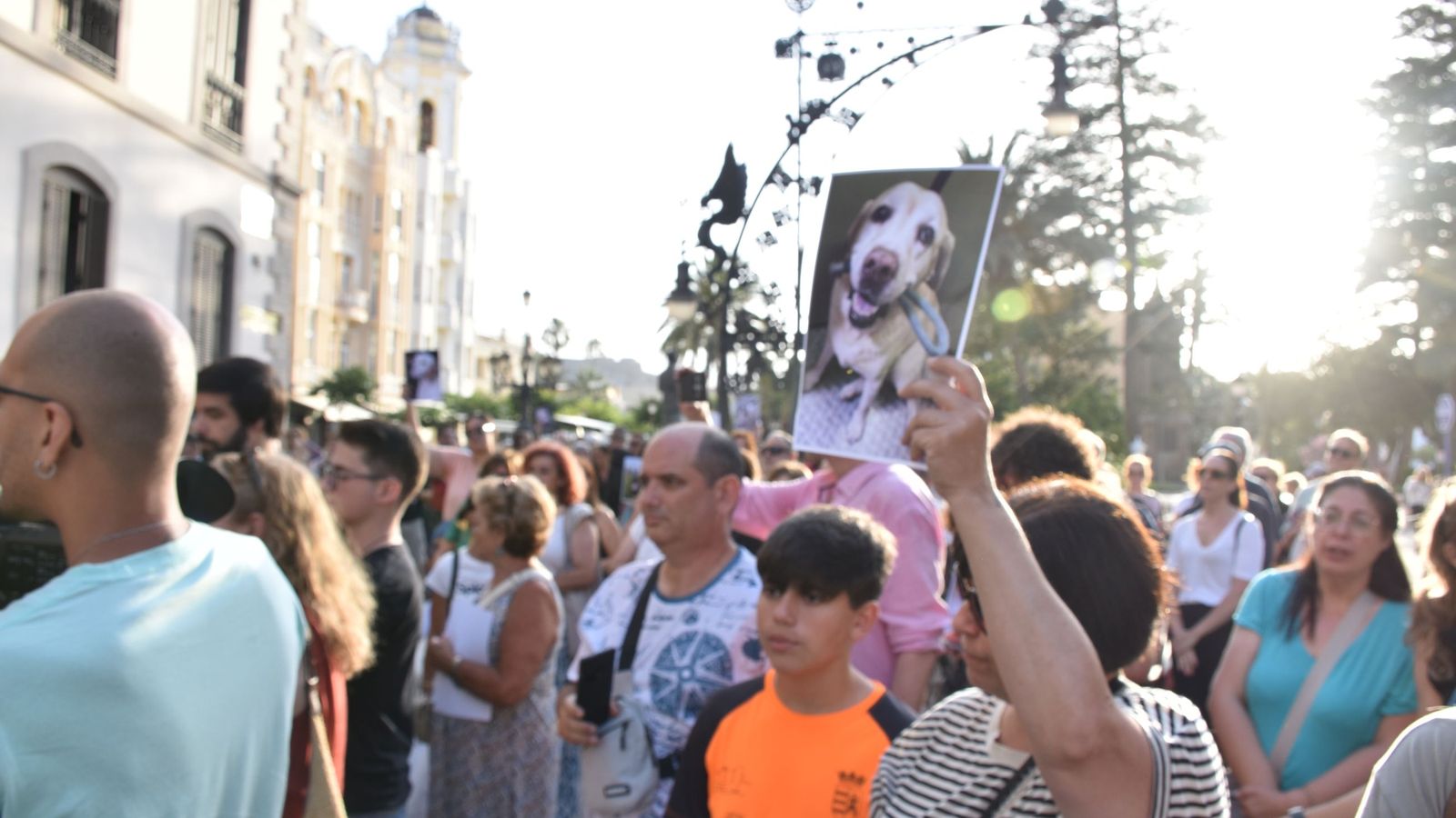 Concentración celebrada a las puertas del Palacio Autonómico por los derechos de los animales en Ceuta