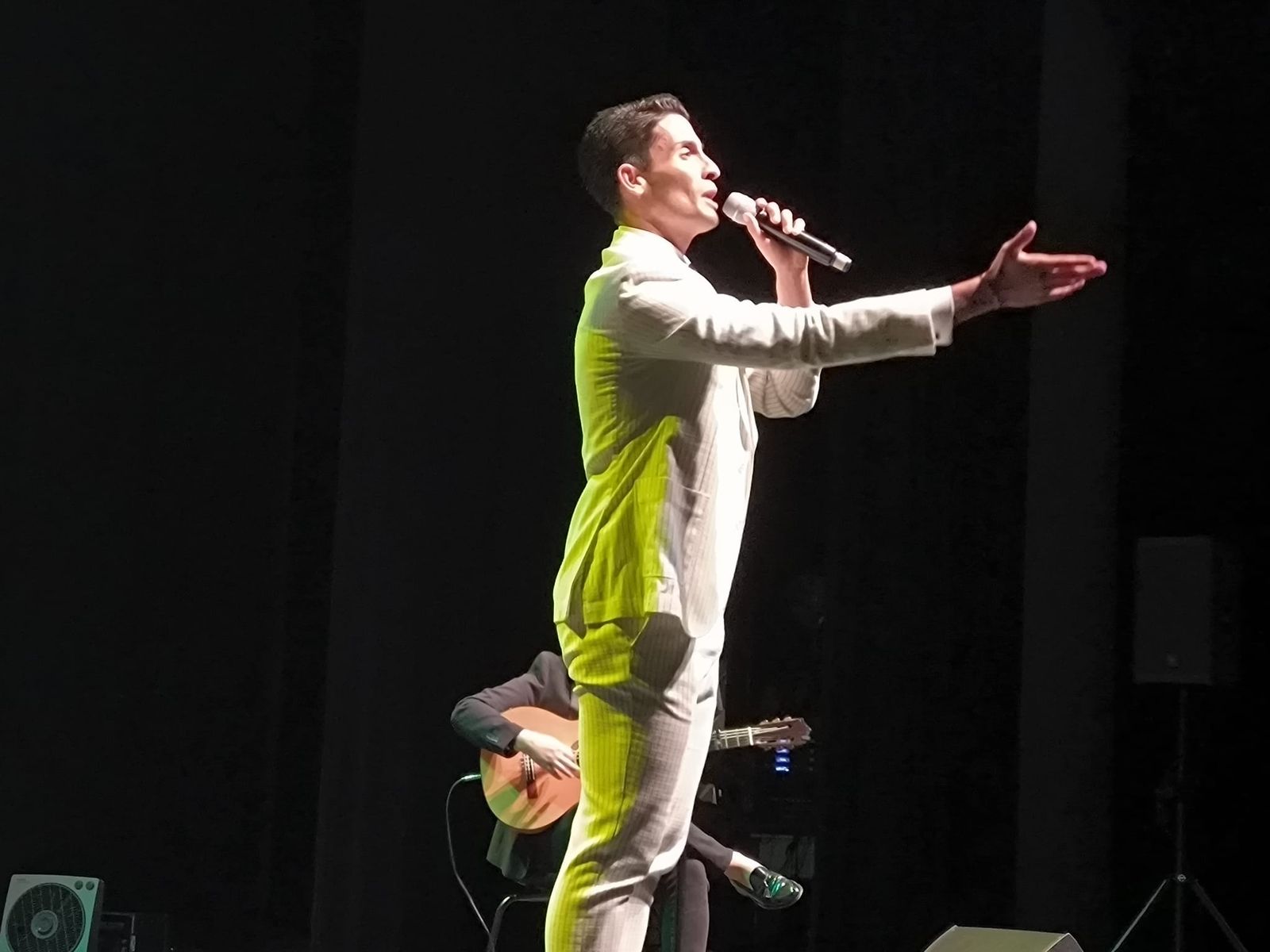 Radiolé vuelve a encender el Revellín en una noche entregada al flamenco