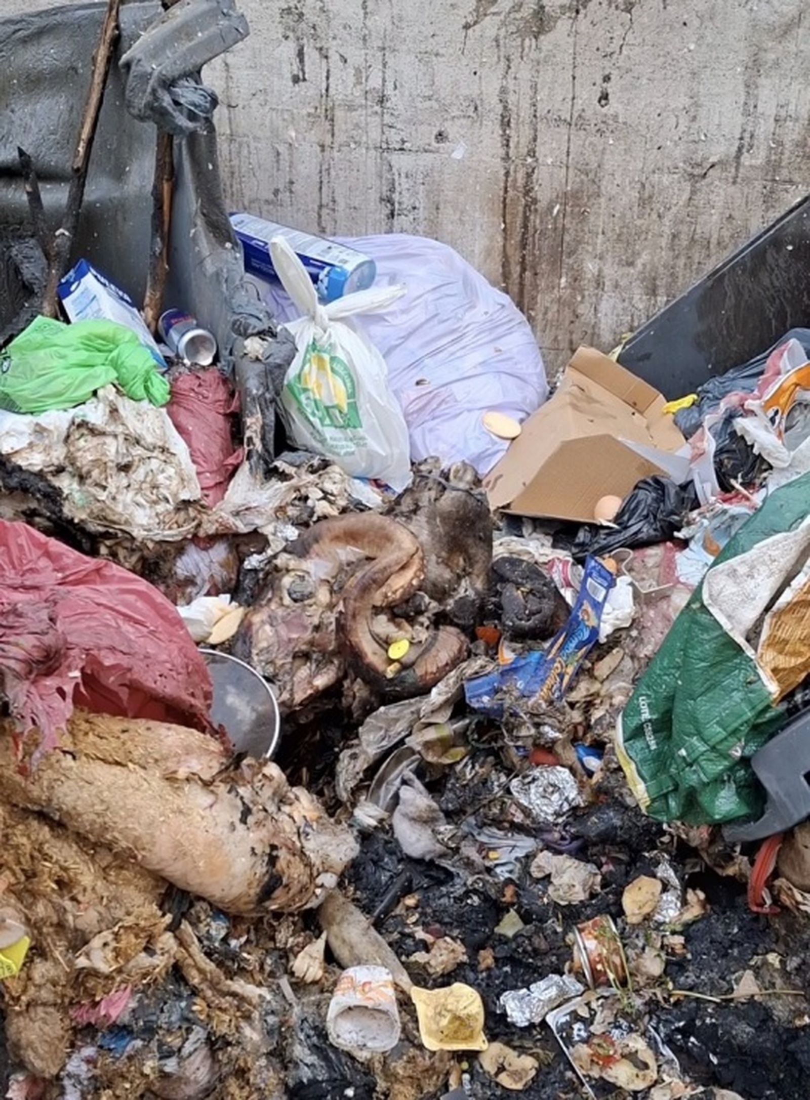 Residuos en el Príncipe a 48 horas de la celebración del Eid. / FOTO CEDIDA