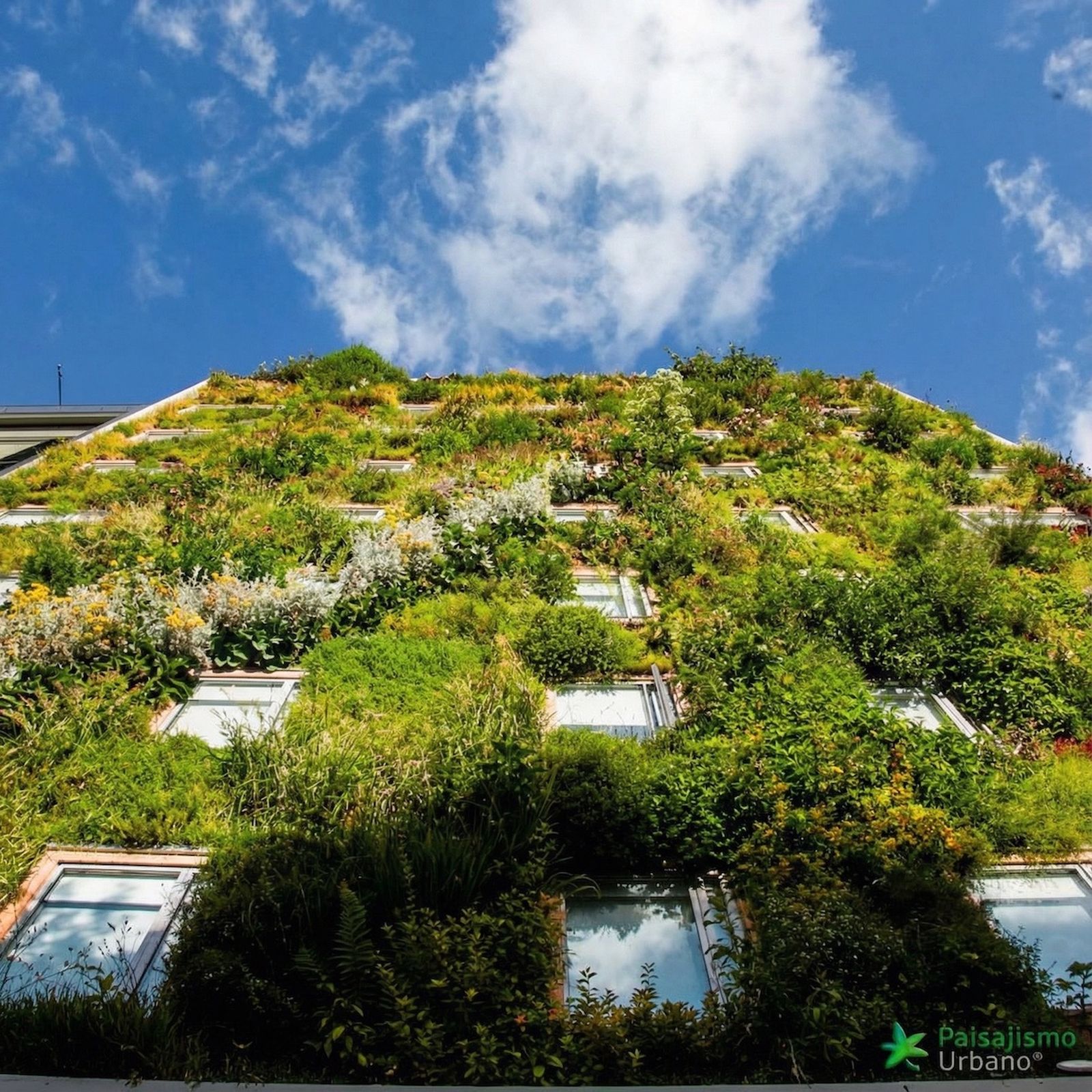 Los jardines verticales de Ignacio Solano