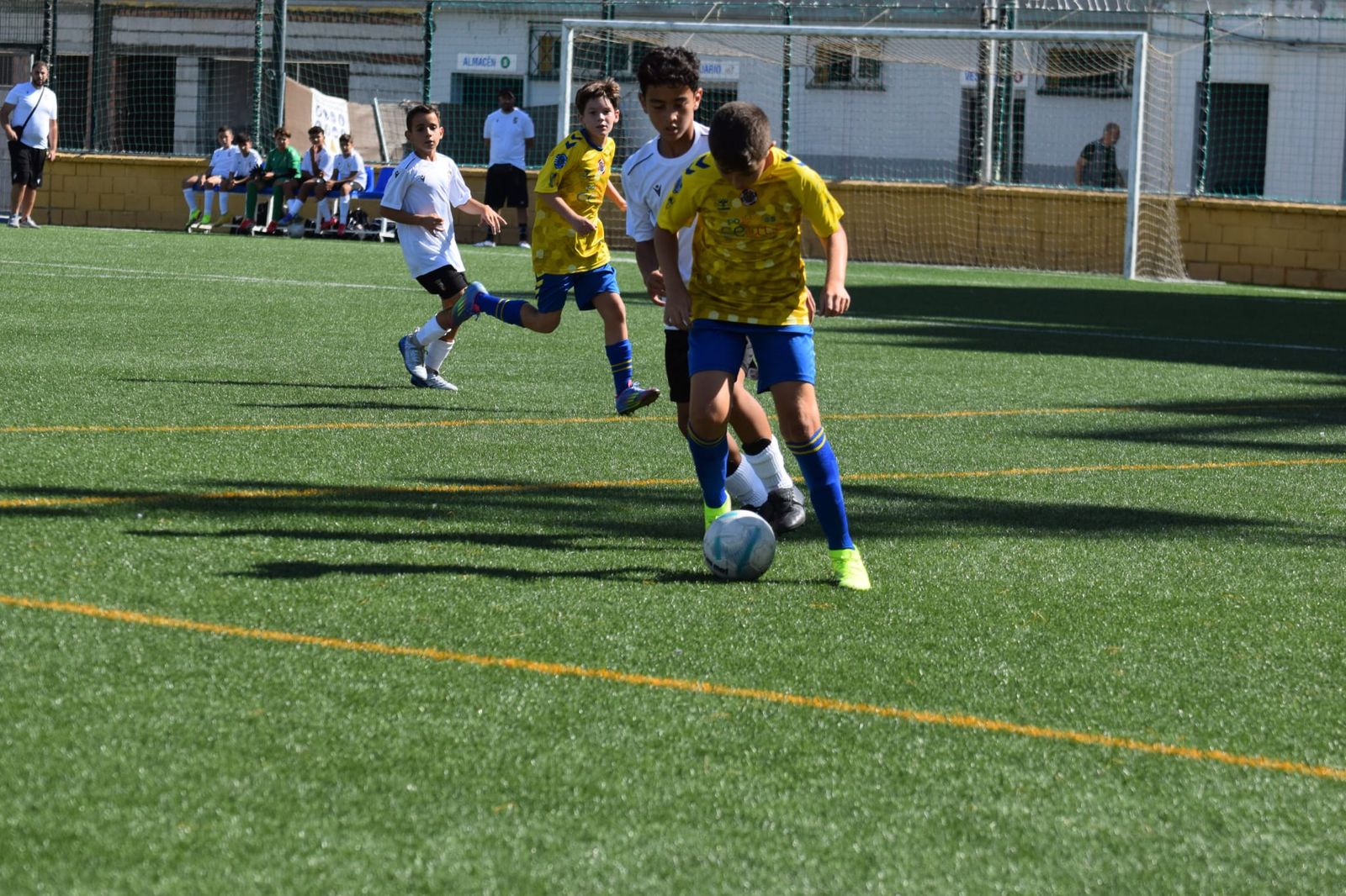 Comienza la Liga Benjamín de Fútbol-8 de la RFFCE