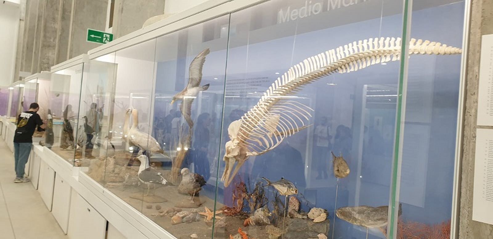 FOTO CEDIDA FOTO CEDIDA