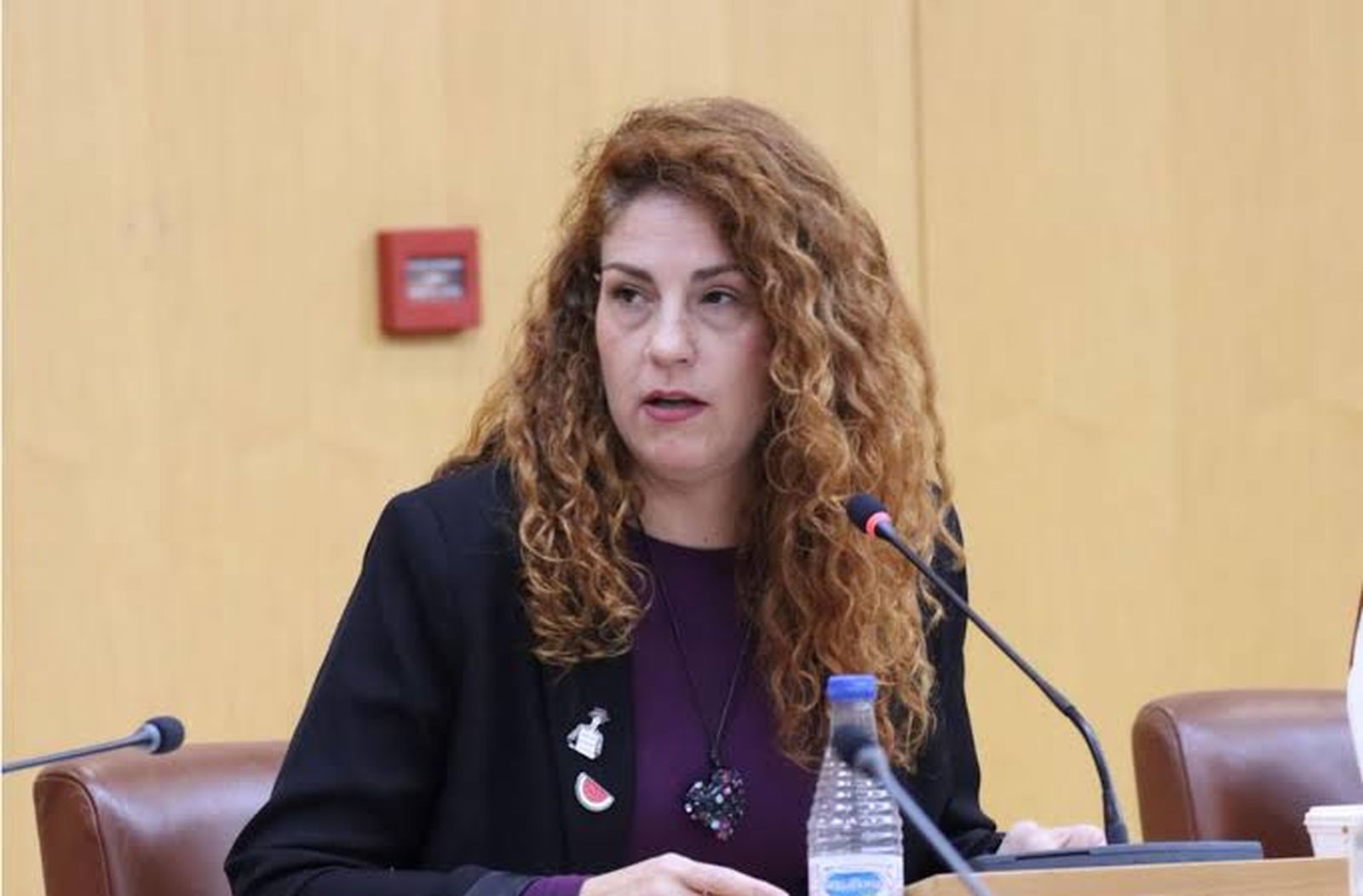 Julia Ferreras, diputada de Ceuta Ya!