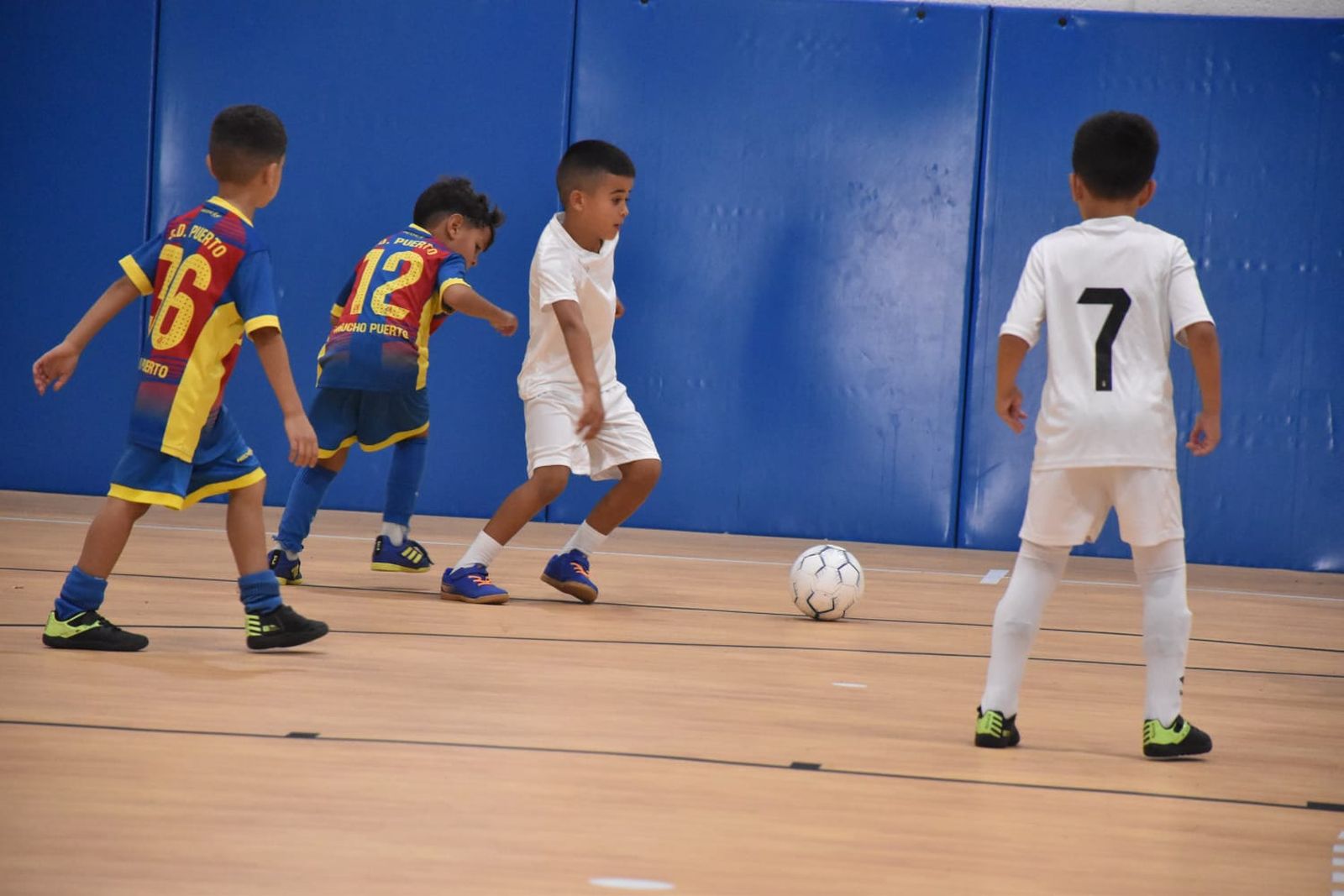 Partidos en Santa Amelia