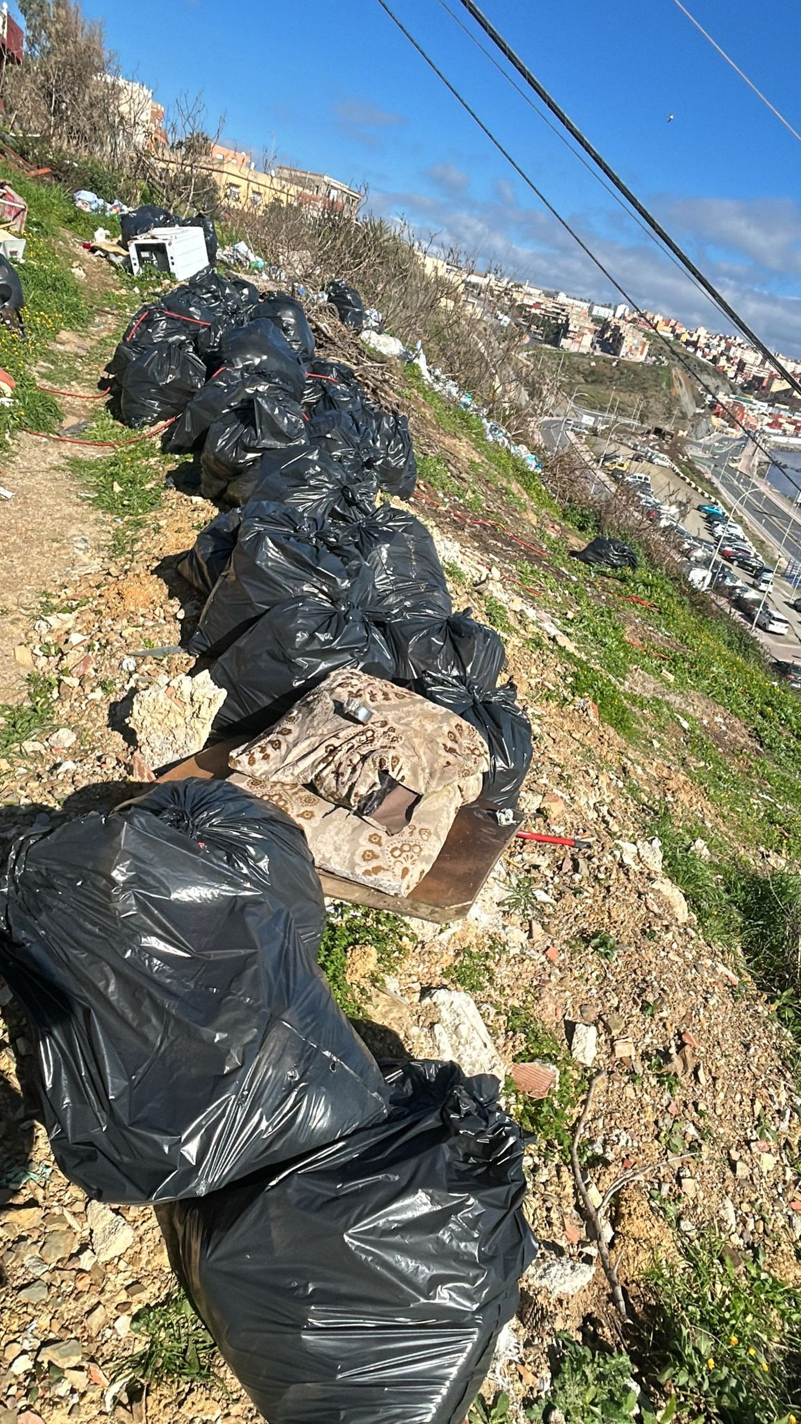 Las Brigadas Verticales limpian residuos en la barriada del Príncipe Felipe.