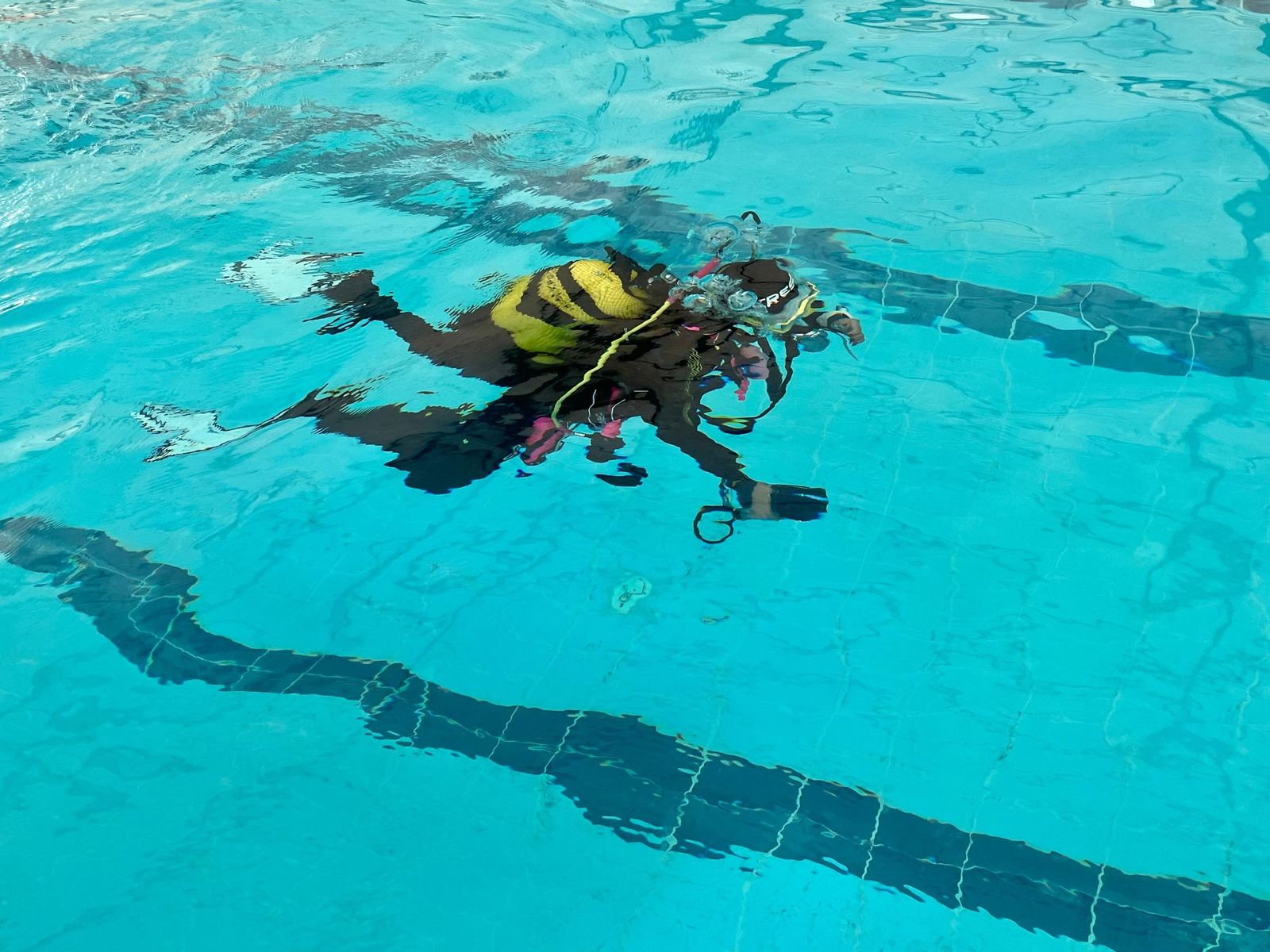 Más de 70 mujeres se sumergen en Ceuta en un bautismo de buceo para celebrar el 8M