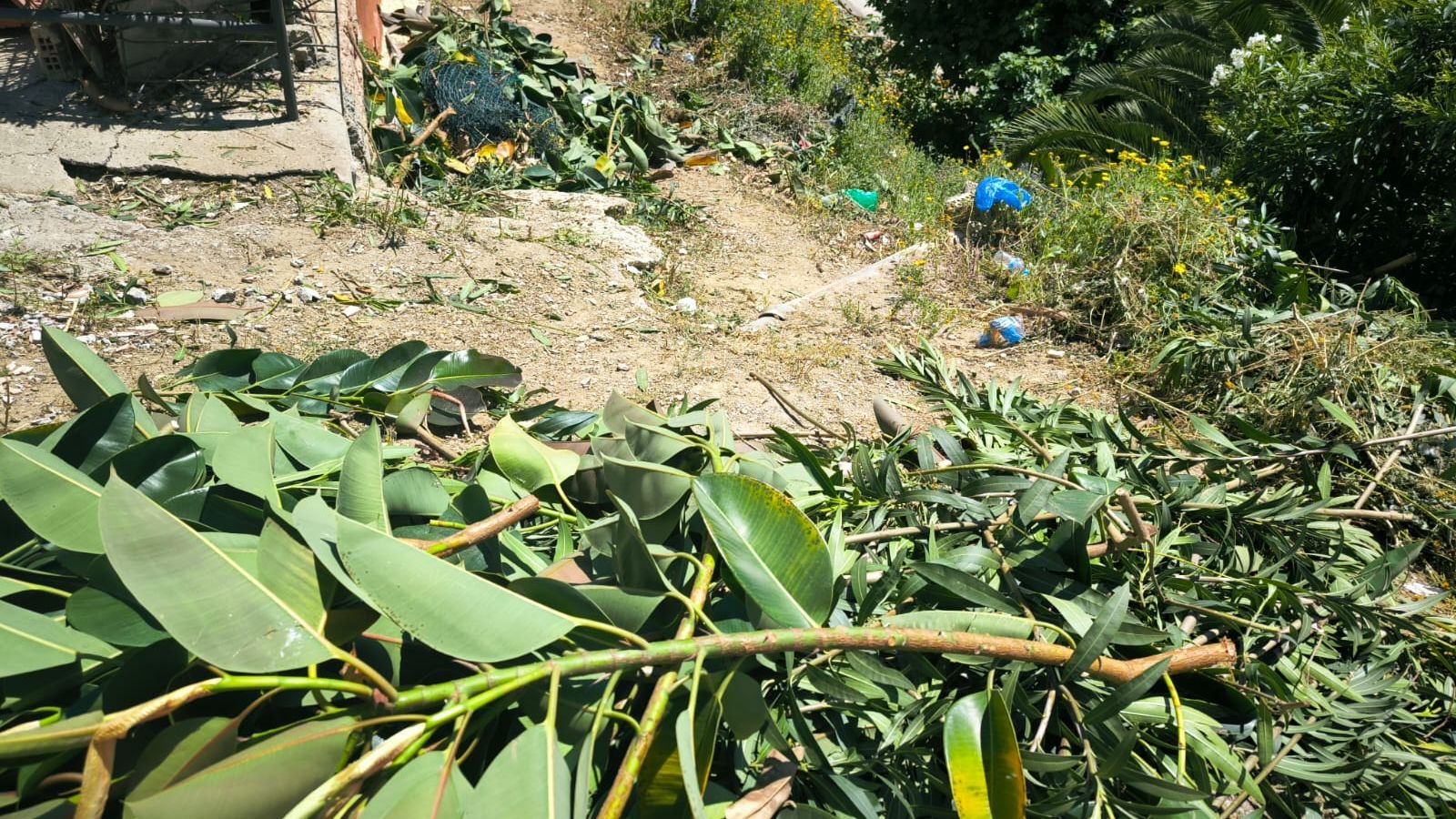 La Ciudad actúa tras las denuncias vecinales y limpia la vaguada de Miramar Alto