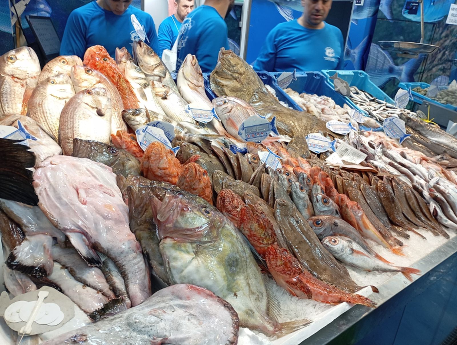 6676_pescado