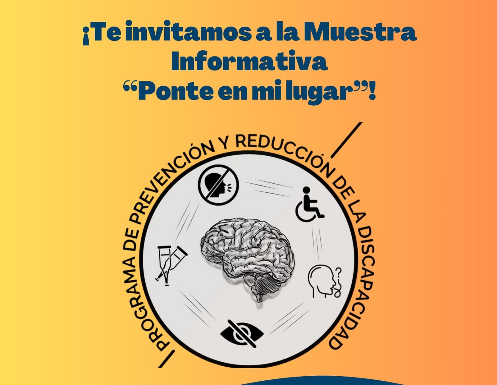 Cartel de la jornada organizada por Cocemfe