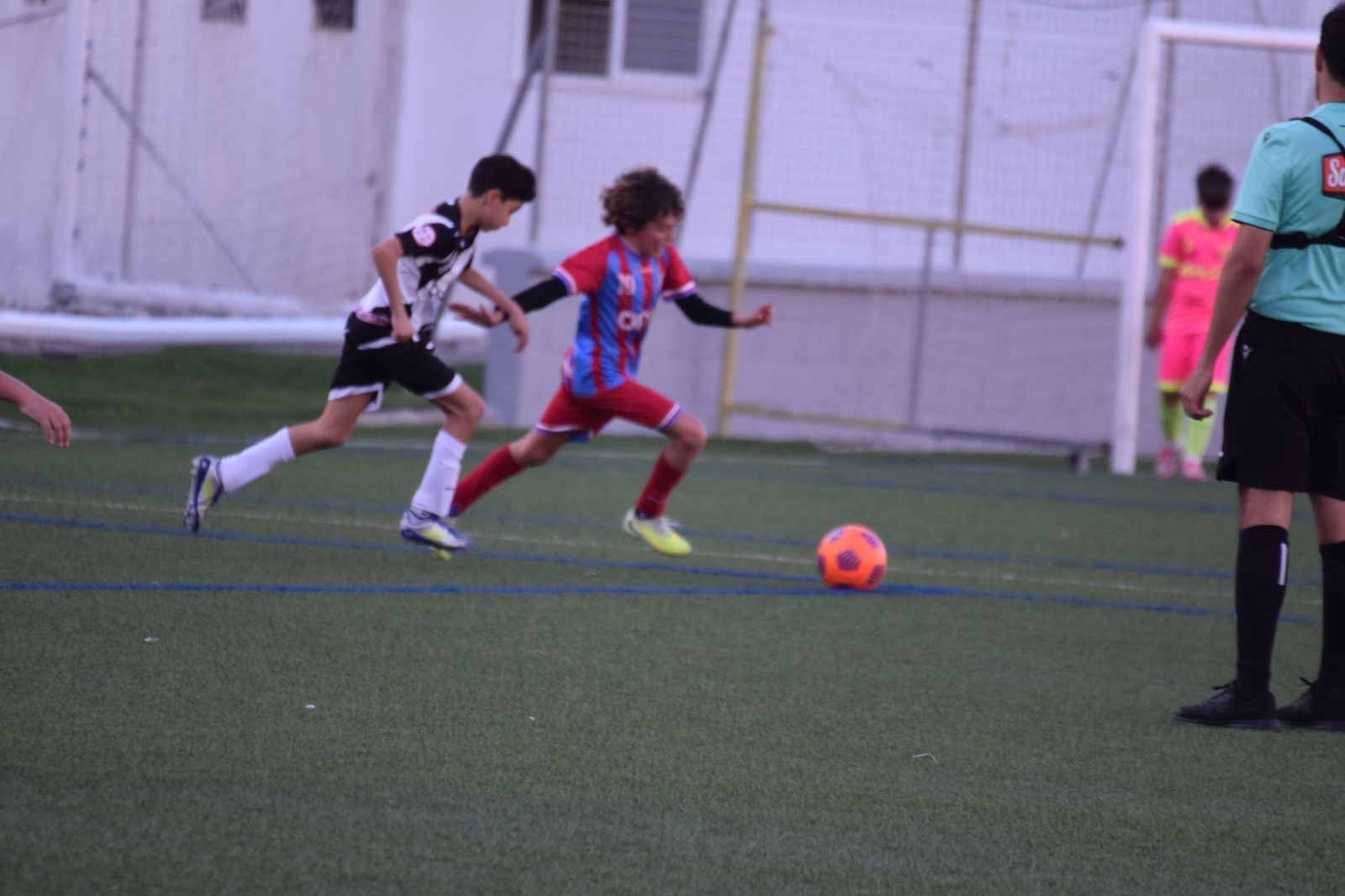 Liga Alevín de Fútbol-7