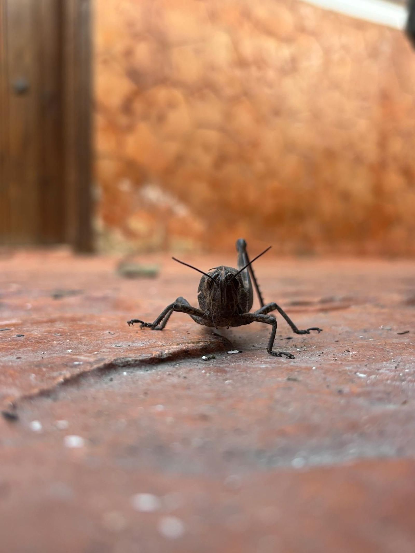 Tercer premio del concurso de fotografía del encuentro de corresponsales juveniles