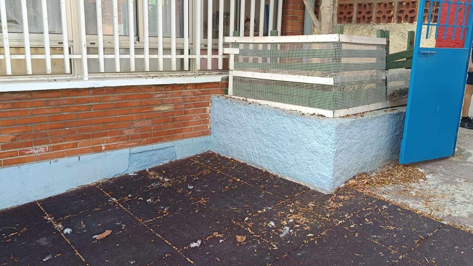 Estado en el que se encuentra el interior del CEIP Juan Morejón