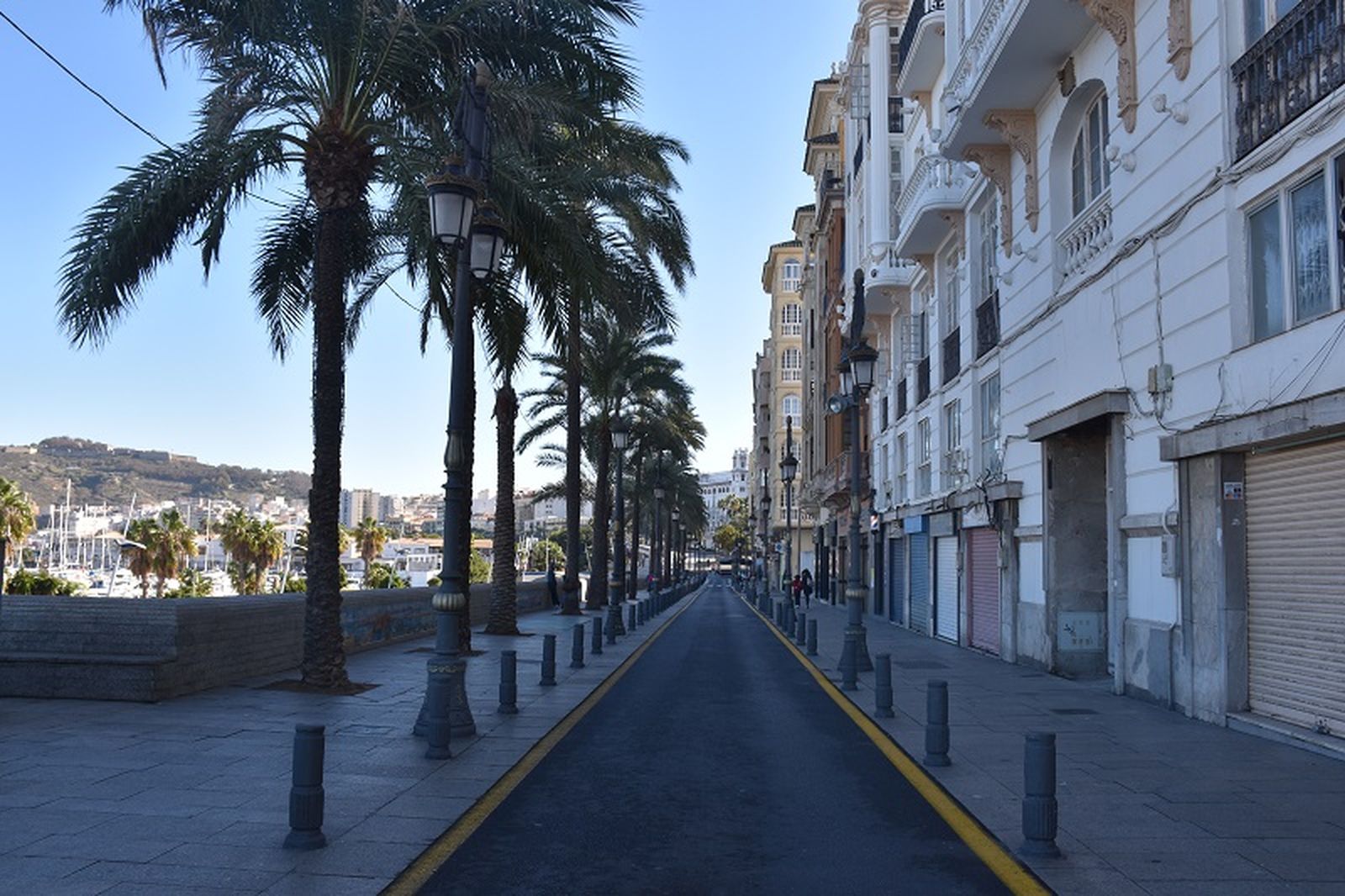 El paseo de las Palmeras este sábado, sin las tradicionales luces que colgaban desde los edificios a las palmeras / FOTO G.S.