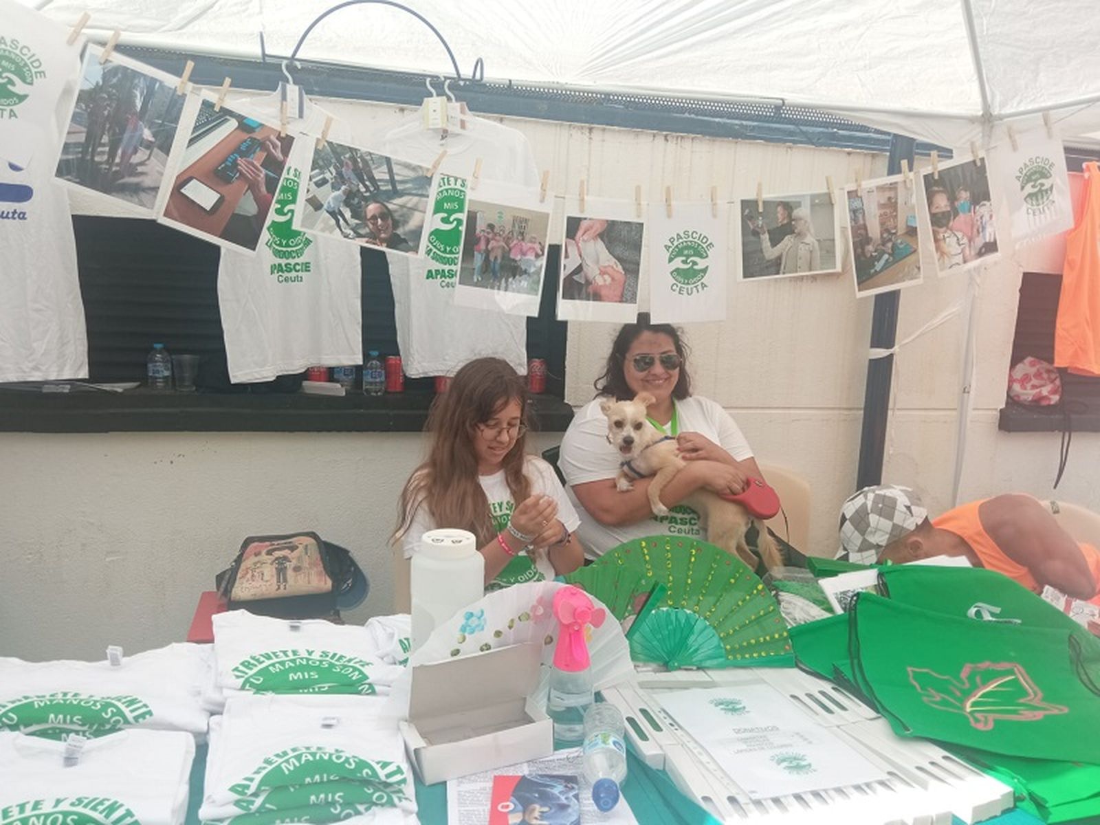 3719_festival-2