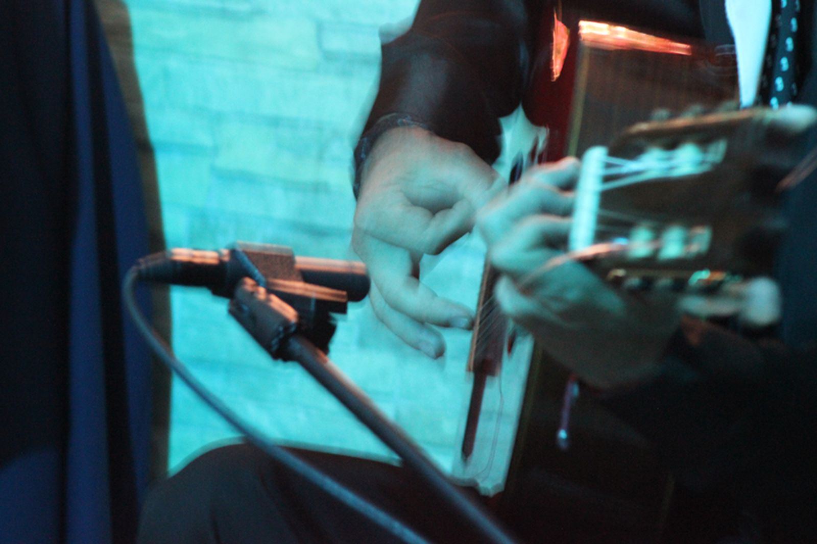 Cantes abandolaos en la Tertulia de Antonio ‘el Hueso’ y al toque José Carlos Torres. / FOTO S.C.