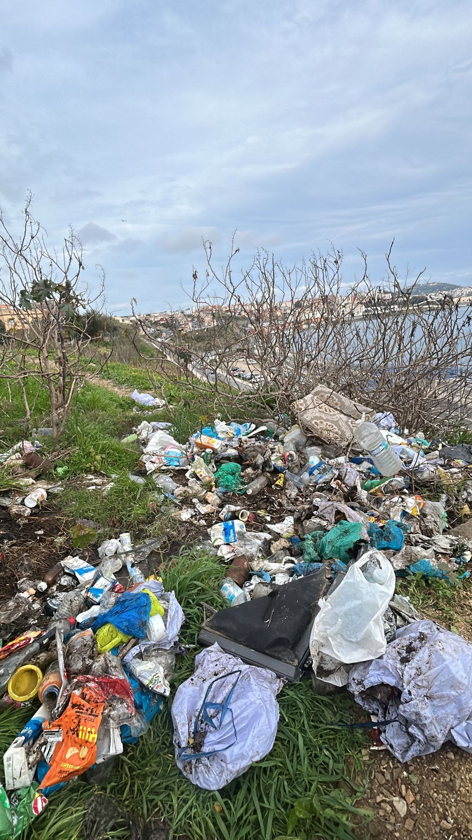 Las Brigadas Verticales limpian residuos en la barriada del Príncipe Felipe.
