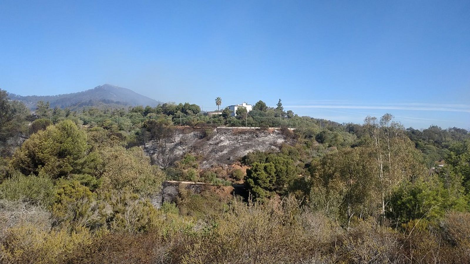 5115_whatsapp-image-2022-09-09-at-103657-am