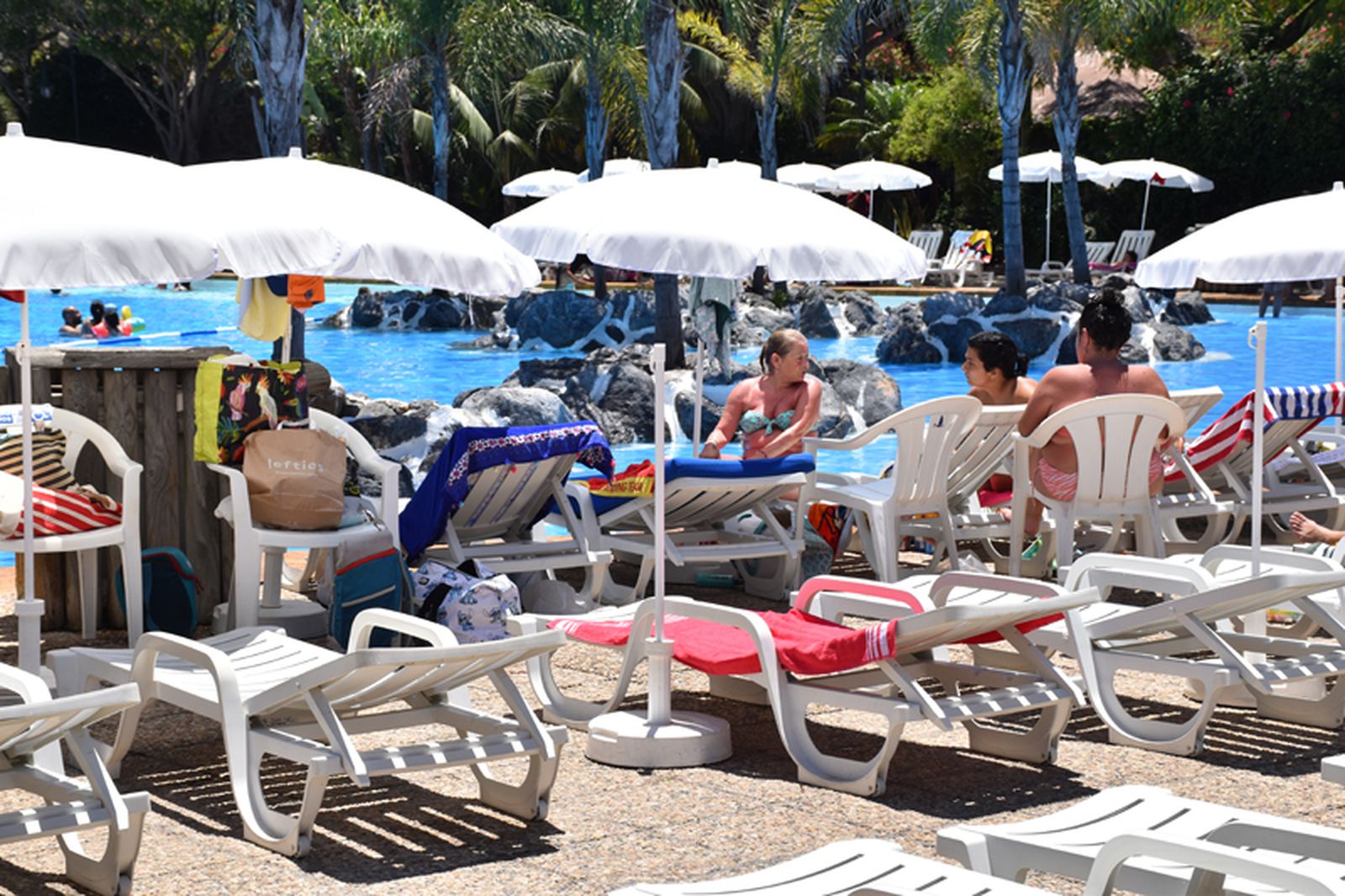 FOTO NICOL'S FOTO NICOL'S