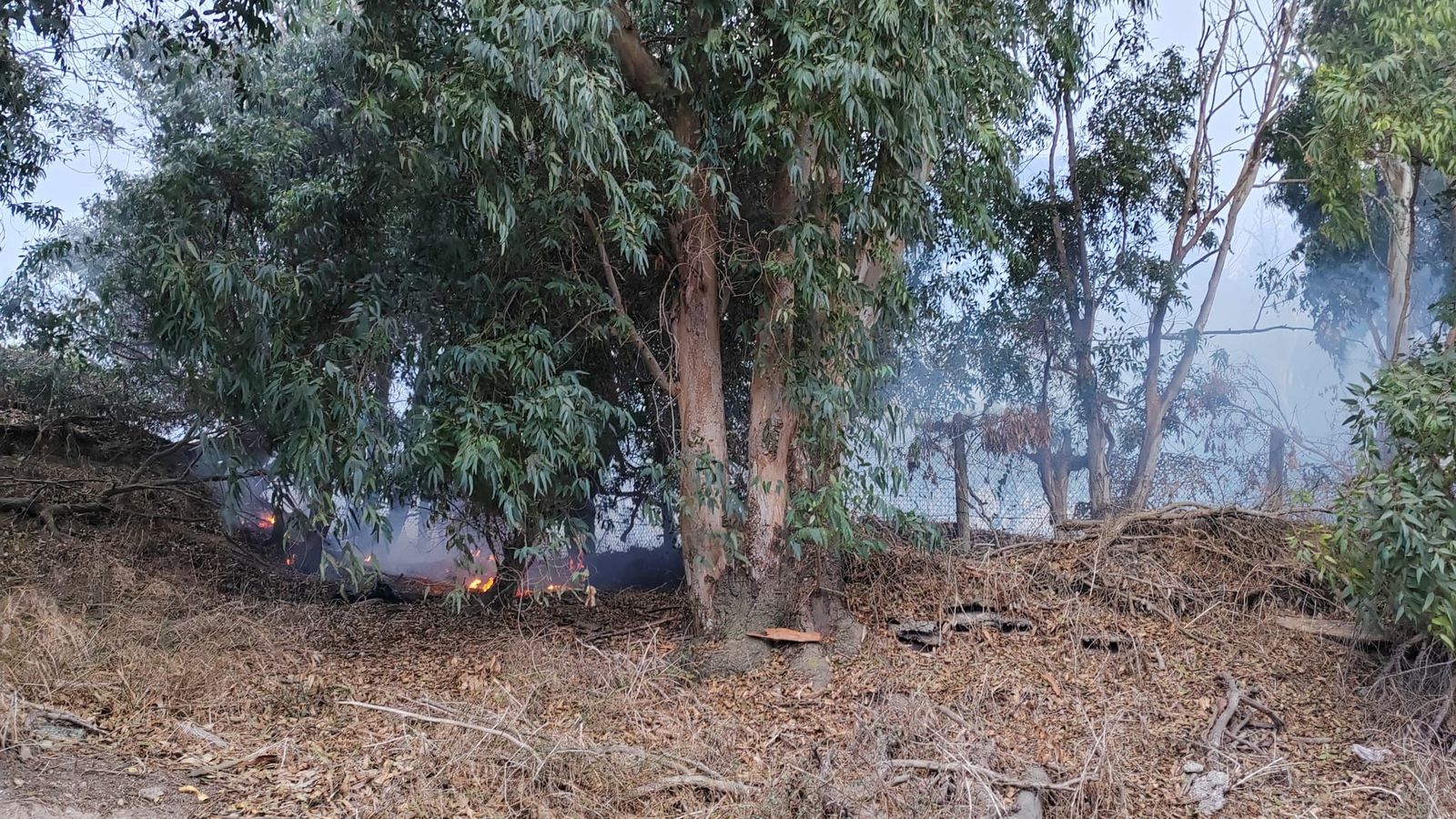 El SEIS extingue un nuevo incendio de monte en un asentamiento de Calamocarro