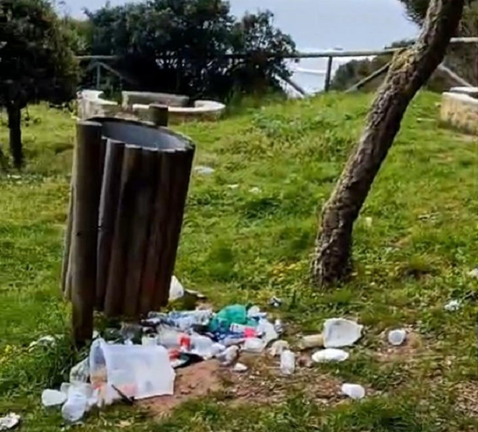 Basura en el merendero de Calamocarro. / FOTO CEDIDA
