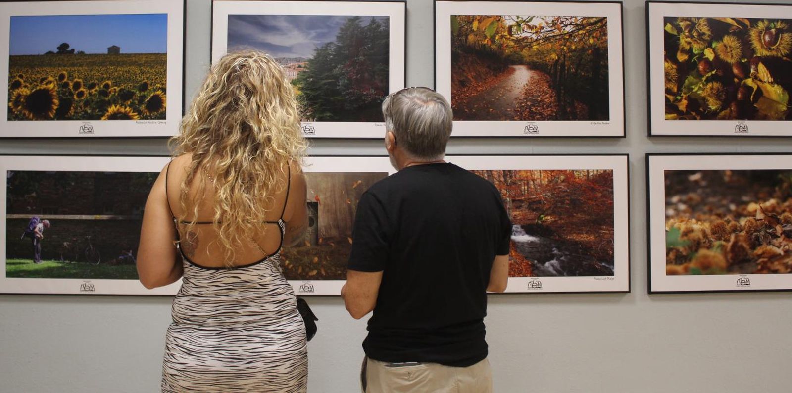Los cuadros que configuran la muestra, durante su exposición en Mijas