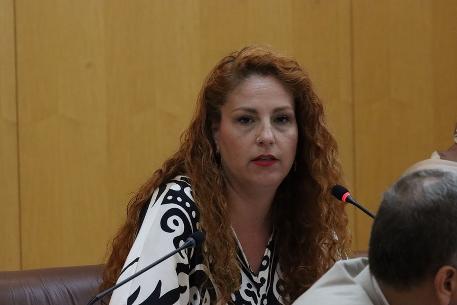 La diputada Julia Ferreras en una imagen de archivo. / FOTO REDUAN