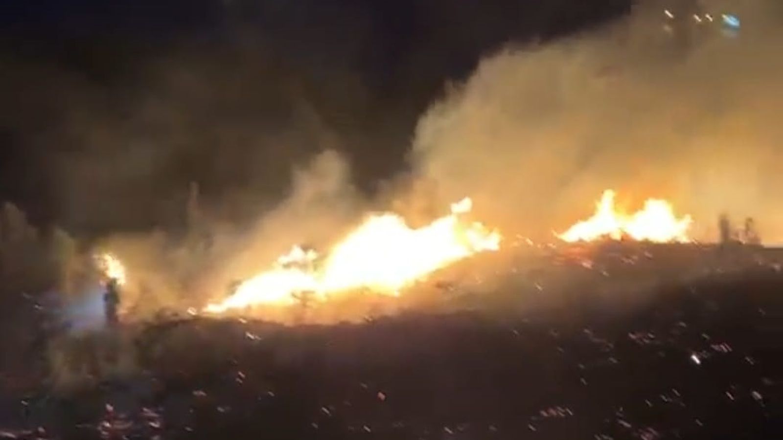 El incendio en el monte de la Tortuja ha calcinada de 8.000 a 10.000 metros cuadrados