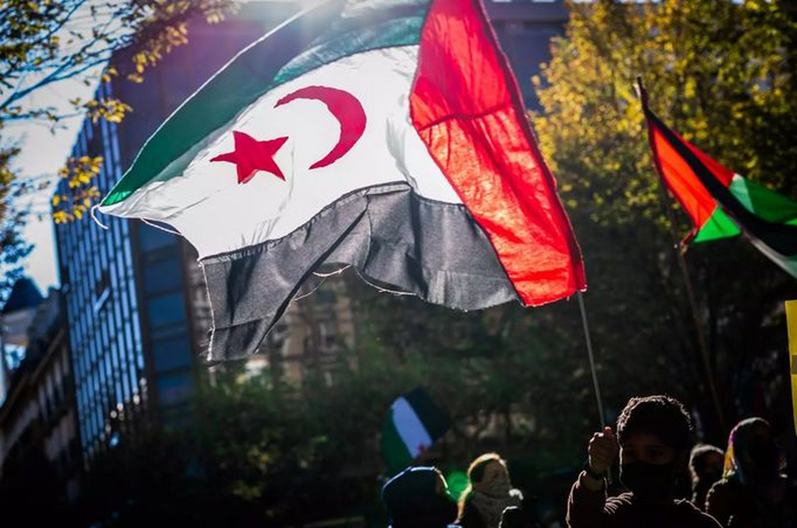Bandera del Sáhara Occidental en una manifestación de apoyo al Frente Polisario en San Sebastián