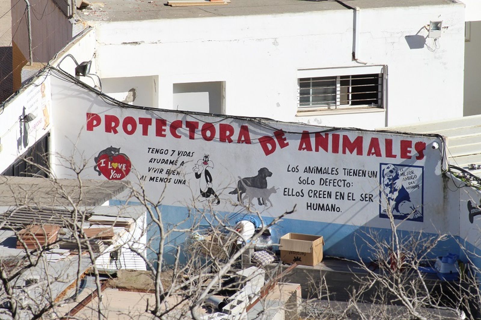 FOTO REDUAN FOTO REDUAN