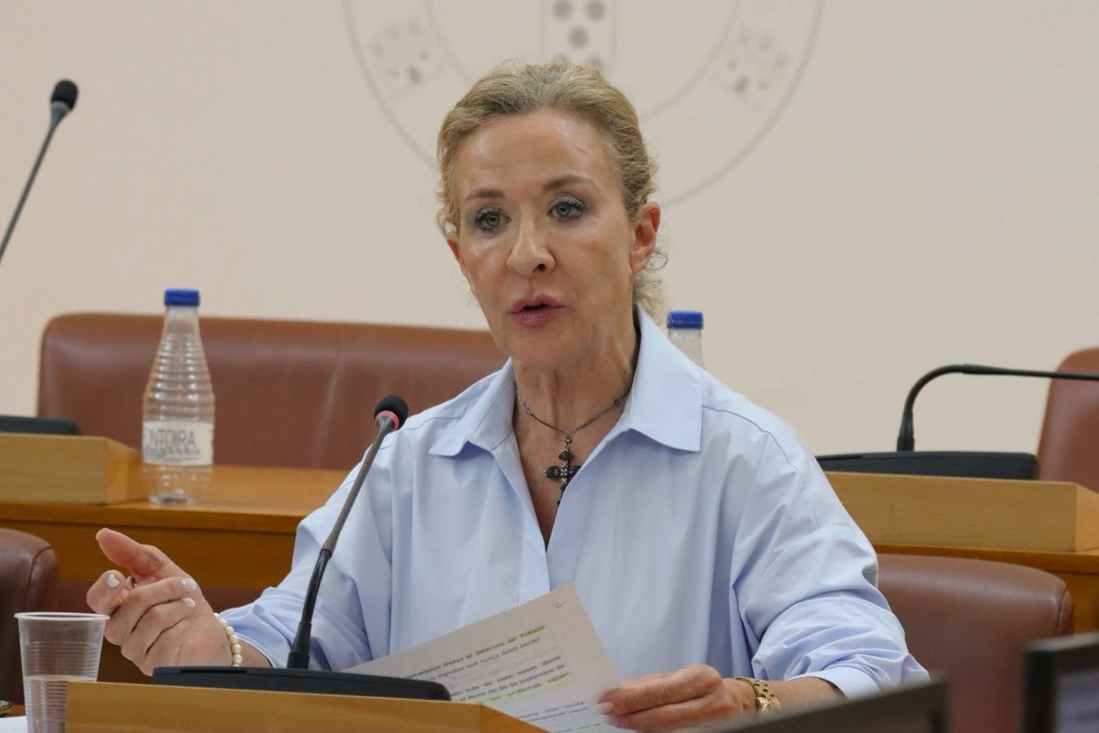 La diputada Yolanda Merelo durante su intervención