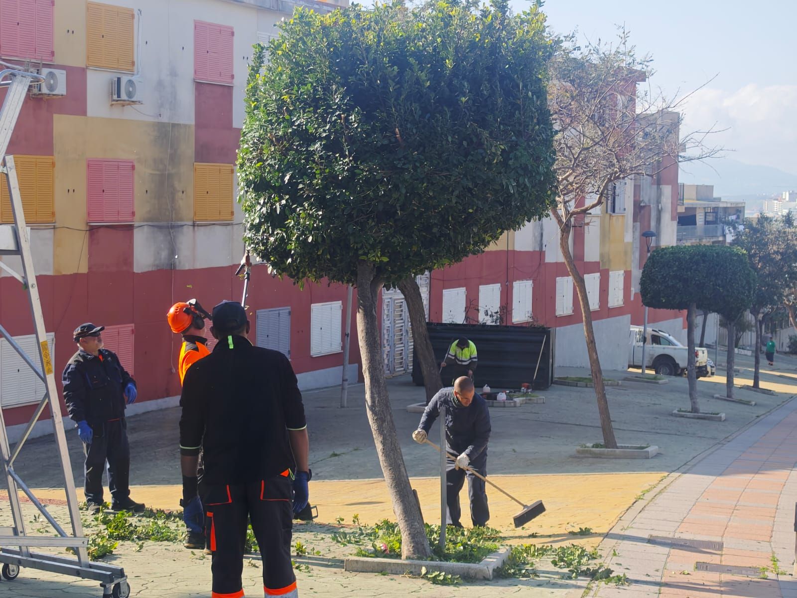 Trabajadores podando un árbol en Loma Colmenar