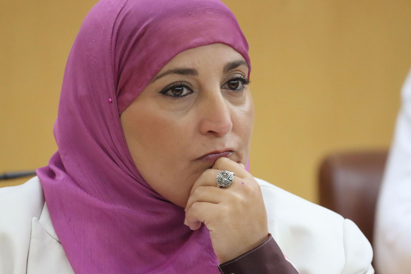 Nadia Mohamed, diputada del MDyC, fue la encargada de presentar la propuesta