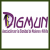 DIGMUN